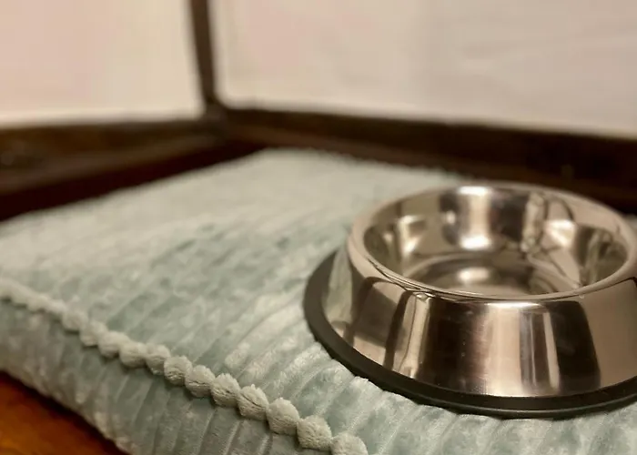 Lejlighed Windeckhaus - Nahe Nationalpark Eifel Bad Muenstereifel